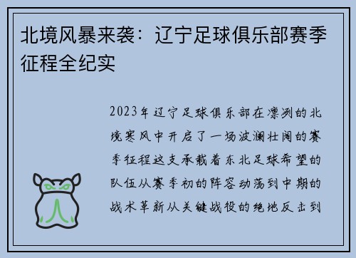 北境风暴来袭：辽宁足球俱乐部赛季征程全纪实