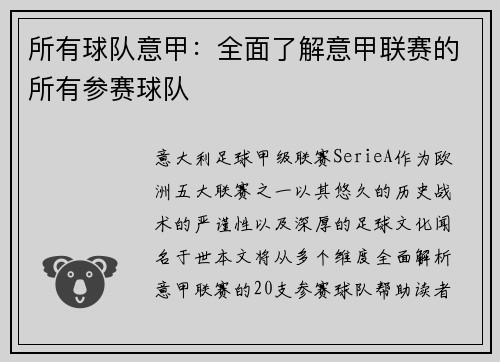 所有球队意甲：全面了解意甲联赛的所有参赛球队